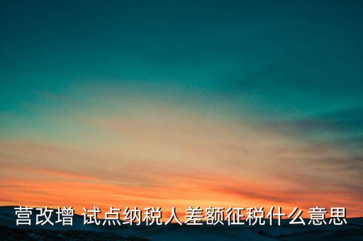 什么是營改增試點(diǎn)納稅人，什么是試點(diǎn)納稅人試點(diǎn)納稅人是什么意思