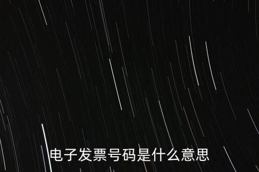 電子發(fā)票號碼是什么意思