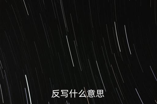 反寫什么意思