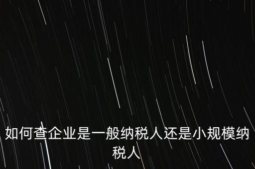 查詢公司什么納稅人，如何查企業(yè)是一般納稅人還是小規(guī)模納稅人