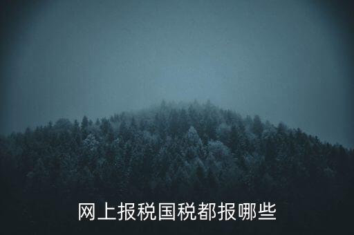 國(guó)稅云辦稅廳都報(bào)什么，你好我是新手我想問一下前輩國(guó)稅每月季年都報(bào)什么報(bào)表