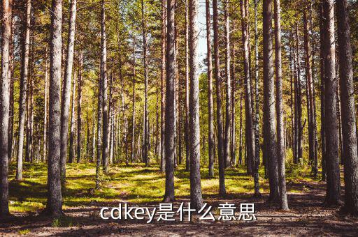 cdkey是什么意思