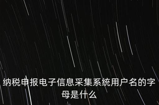 江蘇國稅電子稅務局登錄用戶名是什么意思，江蘇國稅網(wǎng)上辦稅服務廳的用戶名是什么