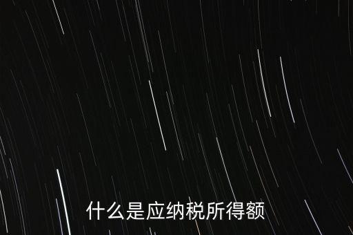 什么是年應(yīng)納稅所得額，什么是應(yīng)納稅所得額