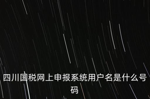 四川省地方稅務(wù)局登錄賬號是什么，在網(wǎng)上報稅登陸時用戶名是什么