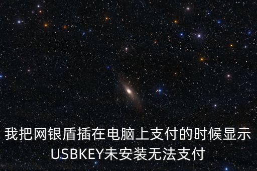 我把網銀盾插在電腦上支付的時候顯示USBKEY未安裝無法支付