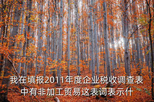 我在填報(bào)2011年度企業(yè)稅收調(diào)查表中有非加工貿(mào)易這表詞表示什