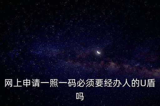 網上申請一照一碼必須要經辦人的U盾嗎