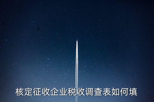 什么企業(yè)填稅收調(diào)查表，核定征收企業(yè)稅收調(diào)查表如何填