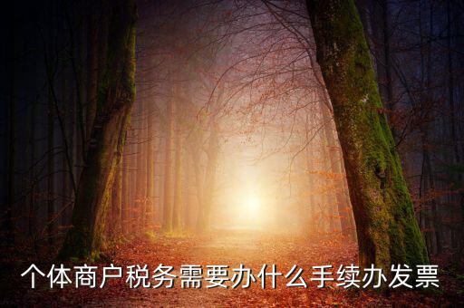 個體商戶稅務(wù)需要辦什么手續(xù)辦發(fā)票