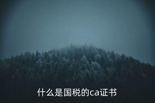 什么是國稅的ca證書