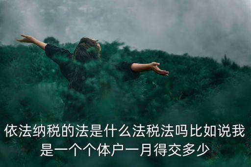 什么是依法納稅人，依法納稅的法是什么法稅法嗎比如說(shuō)我是一個(gè)個(gè)體戶一月得交多少