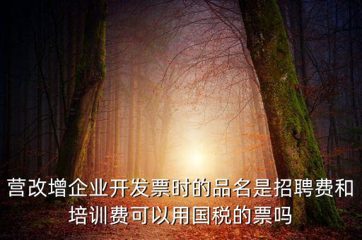 營(yíng)改增企業(yè)開(kāi)發(fā)票時(shí)的品名是招聘費(fèi)和培訓(xùn)費(fèi)可以用國(guó)稅的票嗎