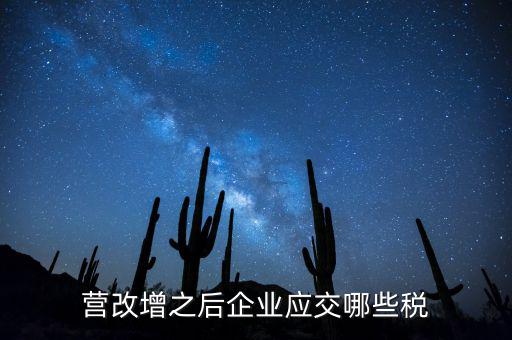 什么叫營改增企業(yè)所得稅，營改增企業(yè)季度申報所得稅