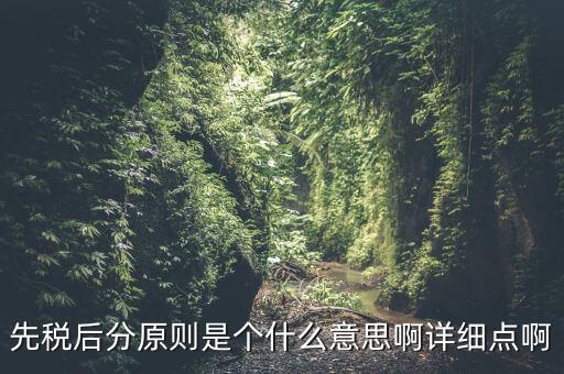 先稅后分原則是個什么意思啊詳細(xì)點(diǎn)啊