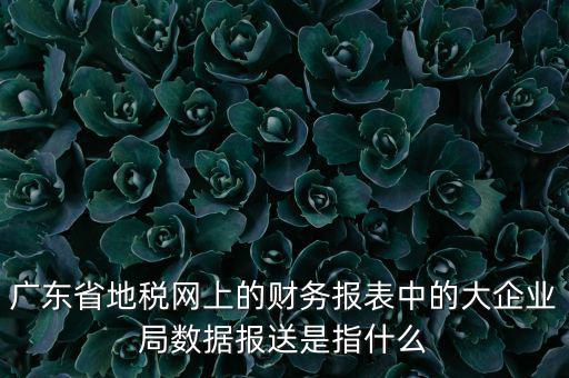 廣東省地稅網(wǎng)上的財務報表中的大企業(yè)局數(shù)據(jù)報送是指什么