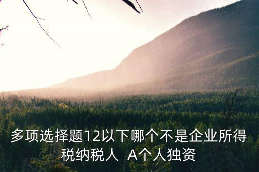 什么納稅人，多項(xiàng)選擇題12以下哪個(gè)不是企業(yè)所得稅納稅人  A個(gè)人獨(dú)資