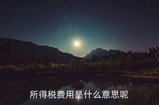 所得稅費(fèi)用是什么意思呢