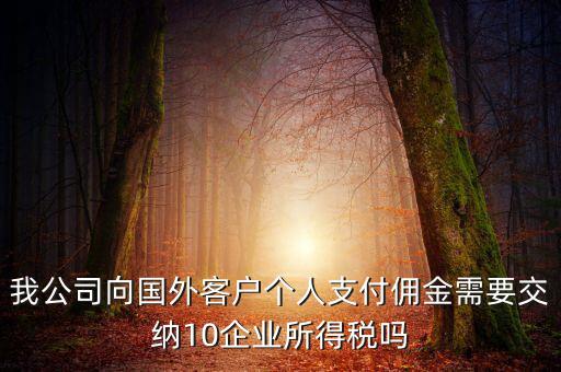 我公司向國(guó)外客戶個(gè)人支付傭金需要交納10企業(yè)所得稅嗎