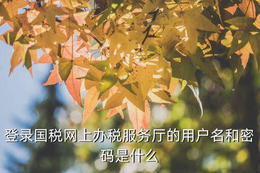 江蘇國稅電子稅務局登錄用戶名是什么，江蘇國稅網(wǎng)上辦稅服務廳的用戶名是什么