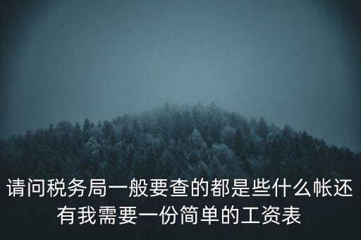 請問稅務(wù)局一般要查的都是些什么帳還有我需要一份簡單的工資表