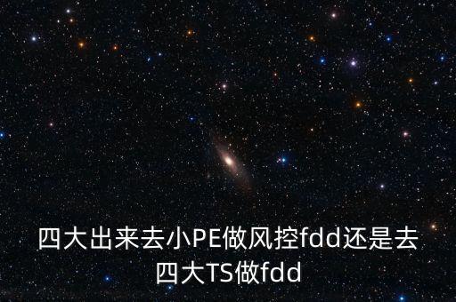 四大出來去小PE做風控fdd還是去四大TS做fdd