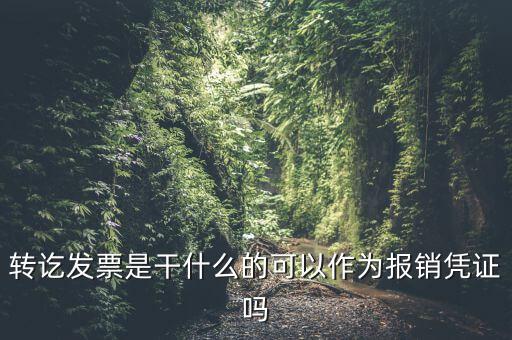 什么叫轉(zhuǎn)發(fā)票，我開了一張農(nóng)村合作信用社的轉(zhuǎn)賬發(fā)票請問什么是對應(yīng)發(fā)票