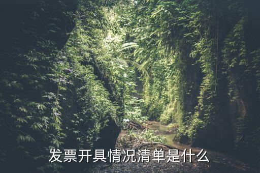 發(fā)票開(kāi)具情況清單是什么