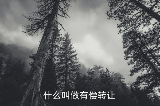 有償轉(zhuǎn)移安置什么意思，有償轉(zhuǎn)發(fā)什么意思