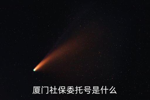 地稅社保委托號是什么，三證合一后去地稅局打社保單子說是與社保局的納稅人識別號不一