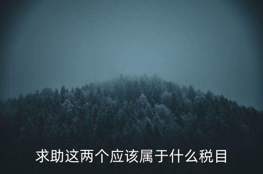 求助這兩個應該屬于什么稅目