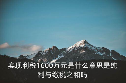 實時繳稅是什么意思，實時扣稅務(wù)請求3001什么意思