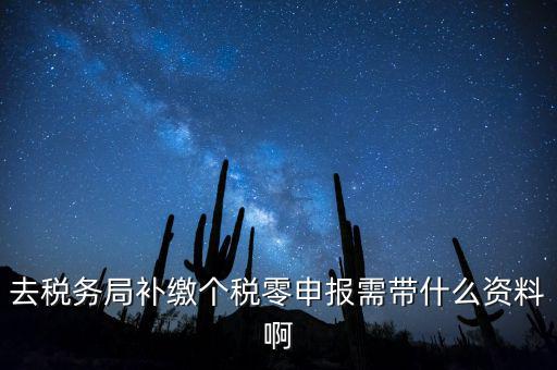 去稅務(wù)局補(bǔ)繳個(gè)稅零申報(bào)需帶什么資料啊