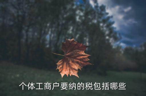 個體需要繳納什么稅，個體工商戶需要交哪些稅