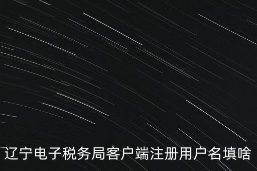 網(wǎng)上辦稅帳號是什么，登錄國稅網(wǎng)上辦稅服務(wù)廳的用戶名和密碼是什么