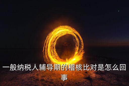 一般納稅人輔導(dǎo)期的稽核比對是怎么回事