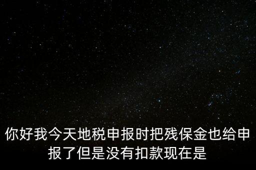 你好我今天地稅申報(bào)時(shí)把殘保金也給申報(bào)了但是沒(méi)有扣款現(xiàn)在是