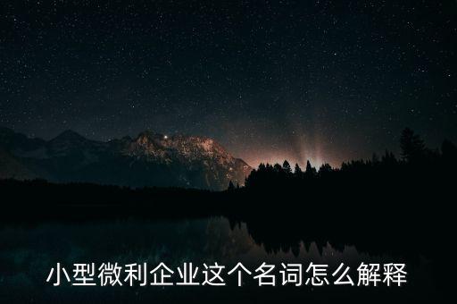 微利成公司是什么意思，小型微利企業(yè)這個(gè)名詞怎么解釋