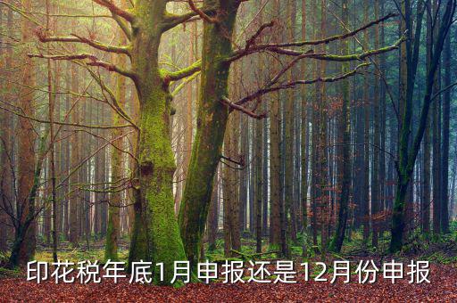 印花稅年底1月申報(bào)還是12月份申報(bào)