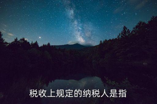 稅收上規(guī)定的納稅人是指