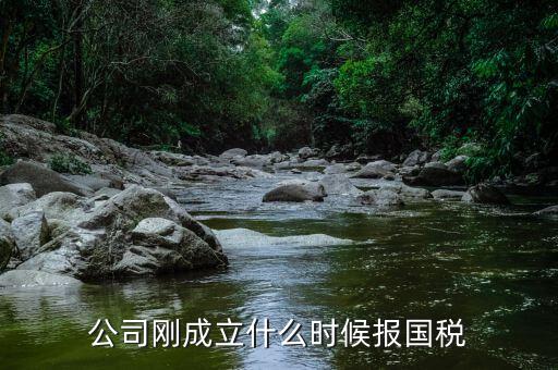 公司剛成立什么時候報國稅