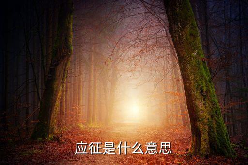 應(yīng)征發(fā)生日期什么意思，應(yīng)征的意思