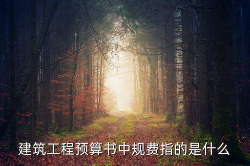 建筑工程預(yù)算書中規(guī)費指的是什么