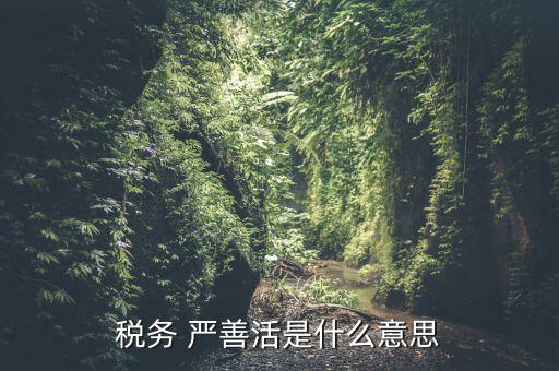 中國(guó)稅務(wù)精神是什么意思，稅務(wù)是什么意思啊學(xué)什么內(nèi)容