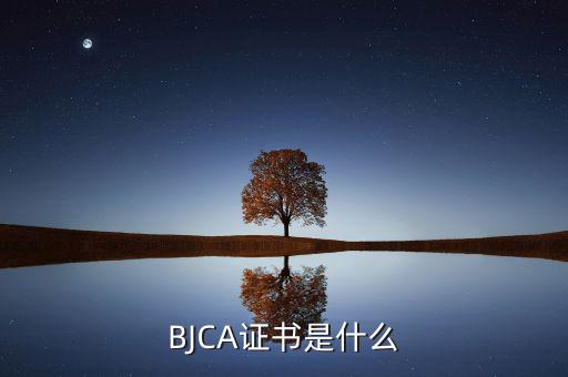 BJCA證書(shū)是什么