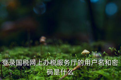 電子稅務密碼是什么，登錄國稅網(wǎng)上辦稅服務廳的用戶名和密碼是什么