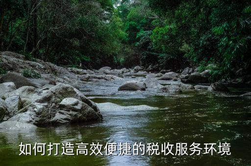 什么是稅務(wù)延時服務(wù)，去辦國稅跟地稅超期一天怎么辦