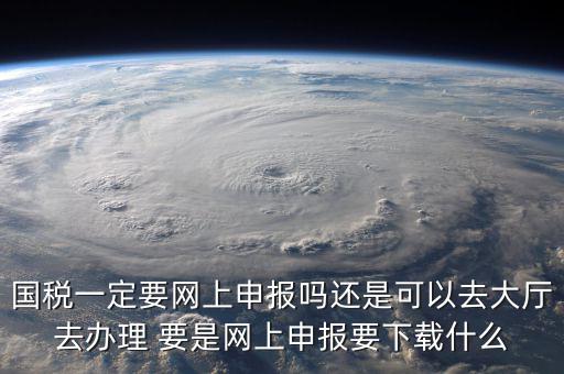 國(guó)稅一定要網(wǎng)上申報(bào)嗎還是可以去大廳去辦理 要是網(wǎng)上申報(bào)要下載什么