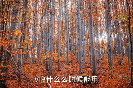 VIP什么么時候能用