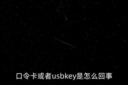 未插usbkey什么意思，口令卡或者usbkey是怎么回事